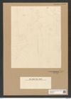 Odontotropis sp. (de-Toni-Nr.: Genus 124) Zeichnungen Sammlung Grunow Nr. 7002 (NHMW-BOT-W0375914)